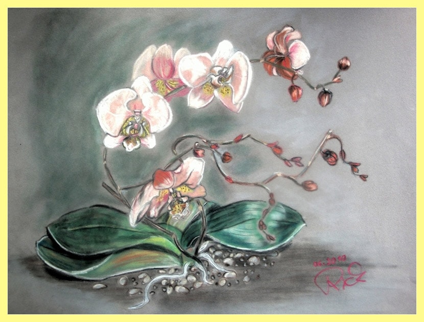 Orchideen - Stillleben von Petra Rick 2010 - Pastell